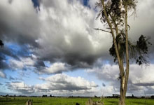 热刺主场击败水晶宫，豪取三分