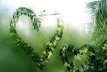 阿贾克斯主场取胜，埃因霍温火力全开