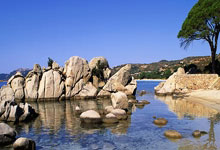 阿贾克斯球员受伤，令球队战力下降：前景与未来的思考