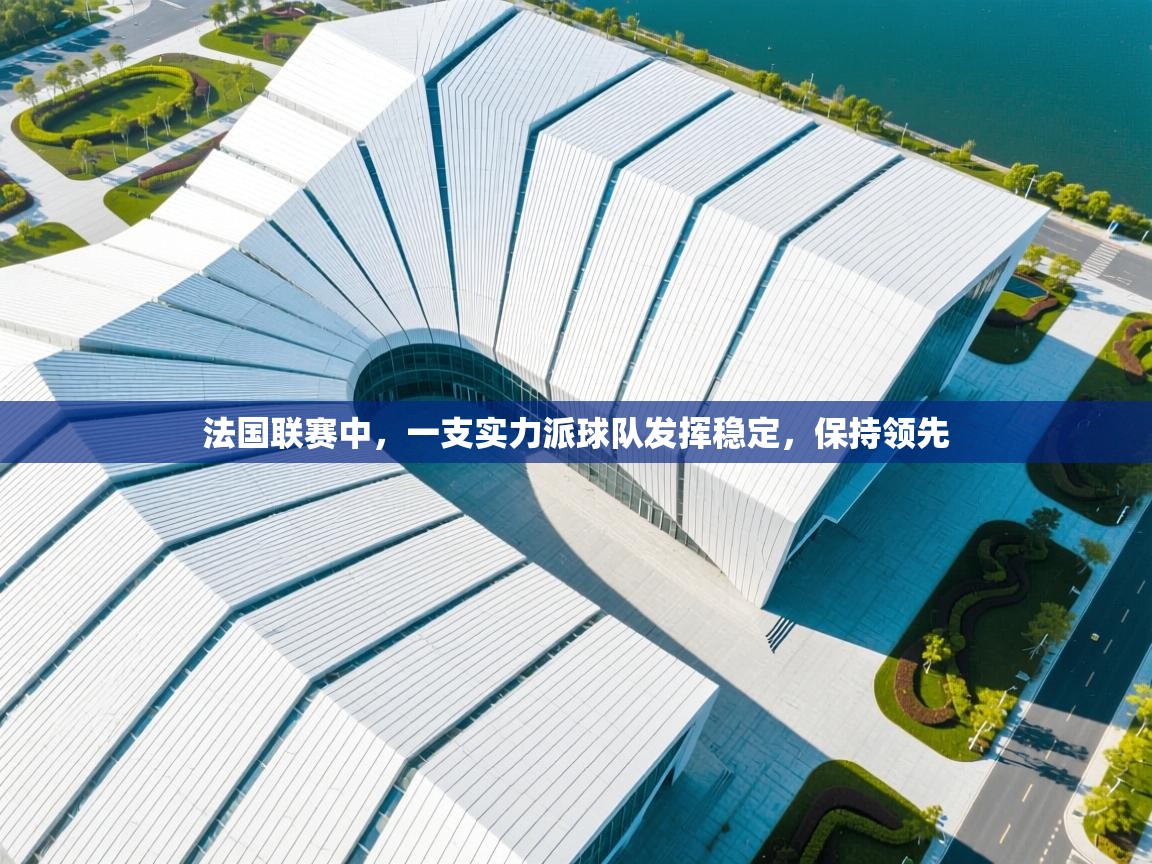 法国联赛中,一支实力派球队发挥稳定,保持领先 第2张