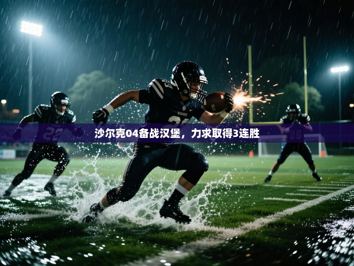 沙尔克04备战汉堡，力求取得3连胜