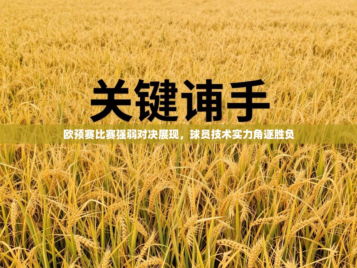 欧预赛比赛强弱对决展现，球员技术实力角逐胜负
