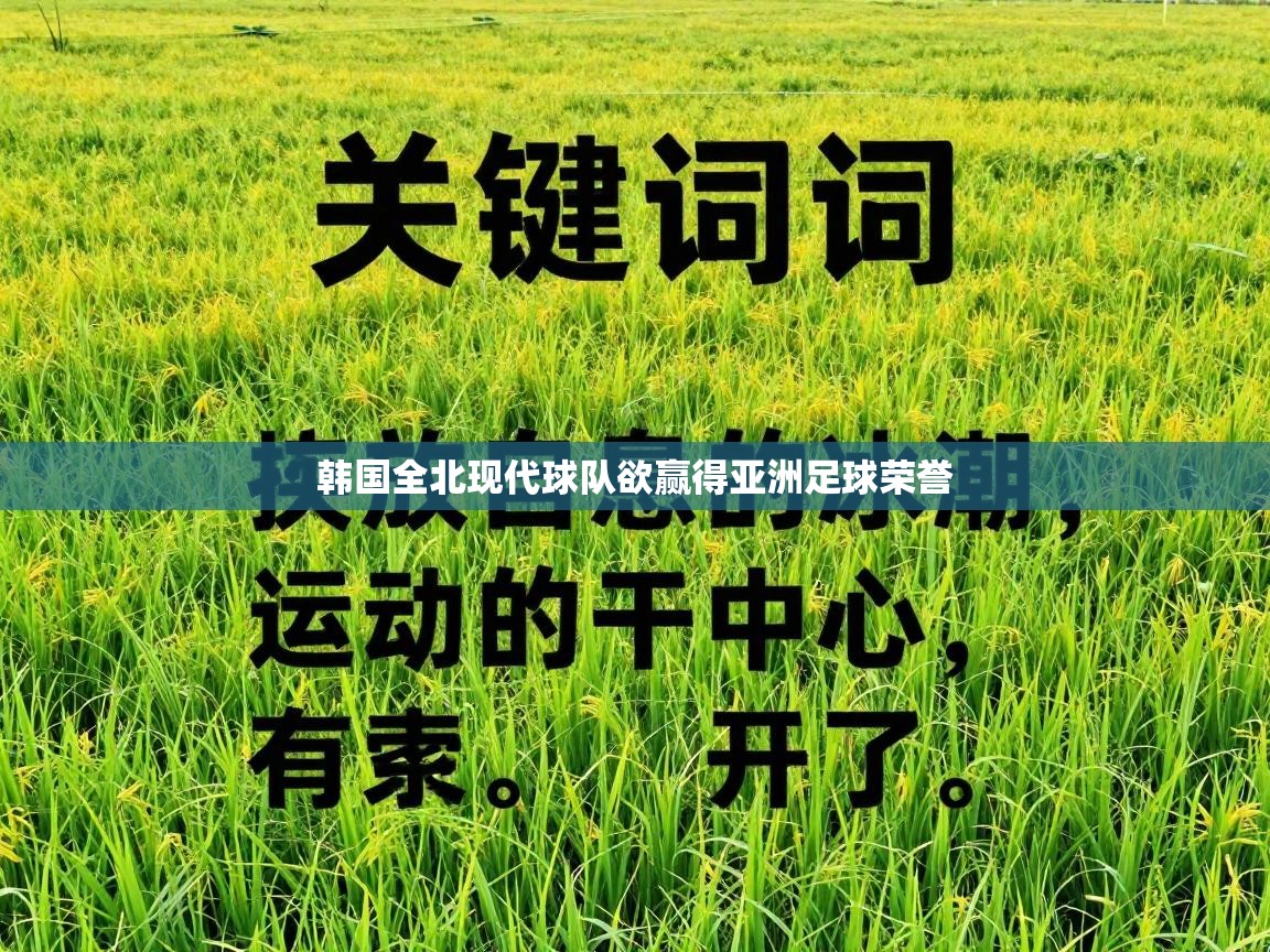 韩国全北现代球队欲赢得亚洲足球荣誉  第1张
