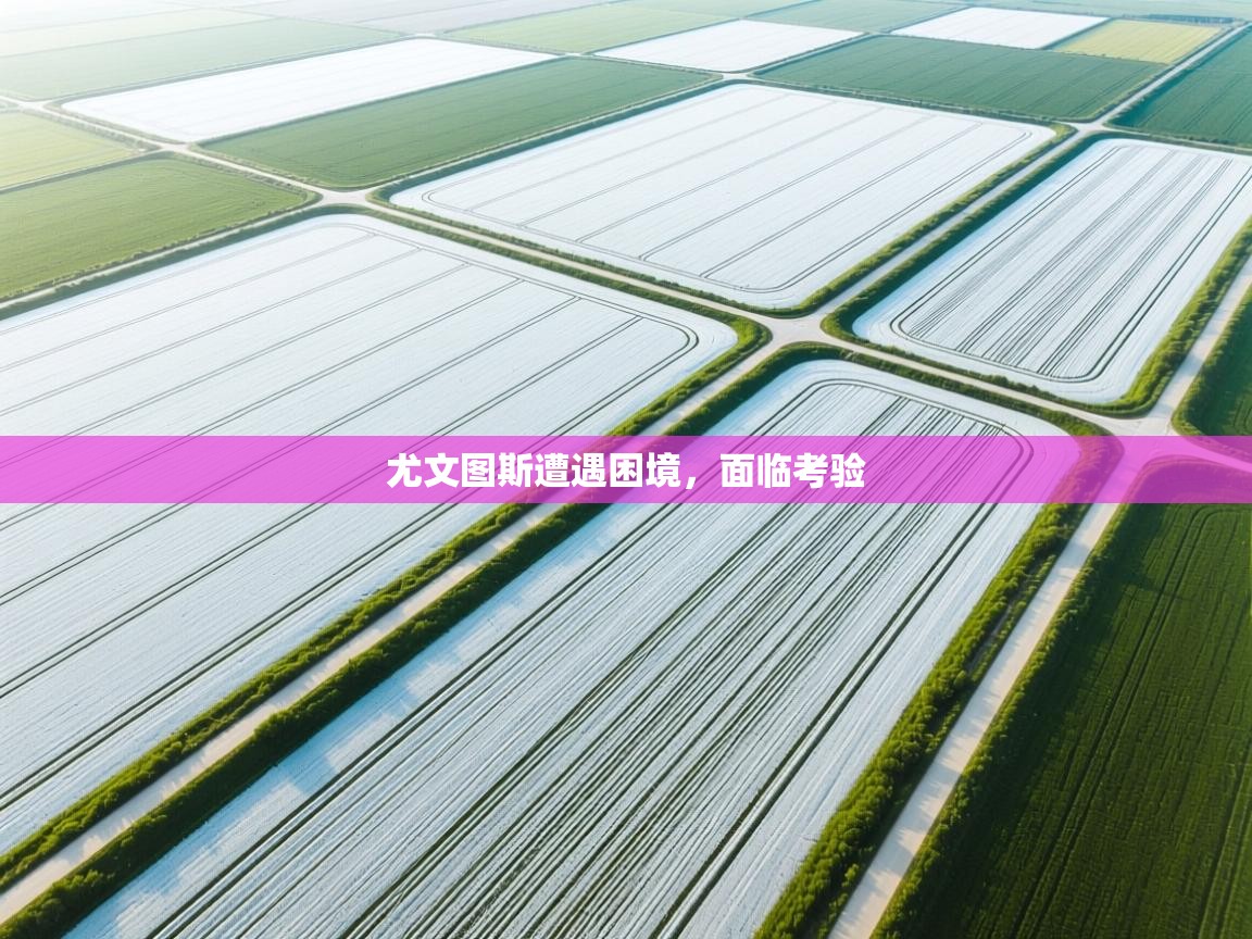 尤文图斯遭遇困境，面临考验  第1张