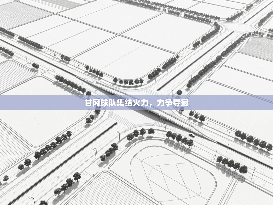 甘冈球队集结火力，力争夺冠  第1张