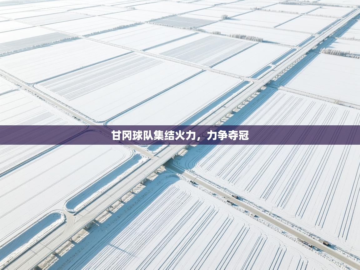 甘冈球队集结火力，力争夺冠  第2张