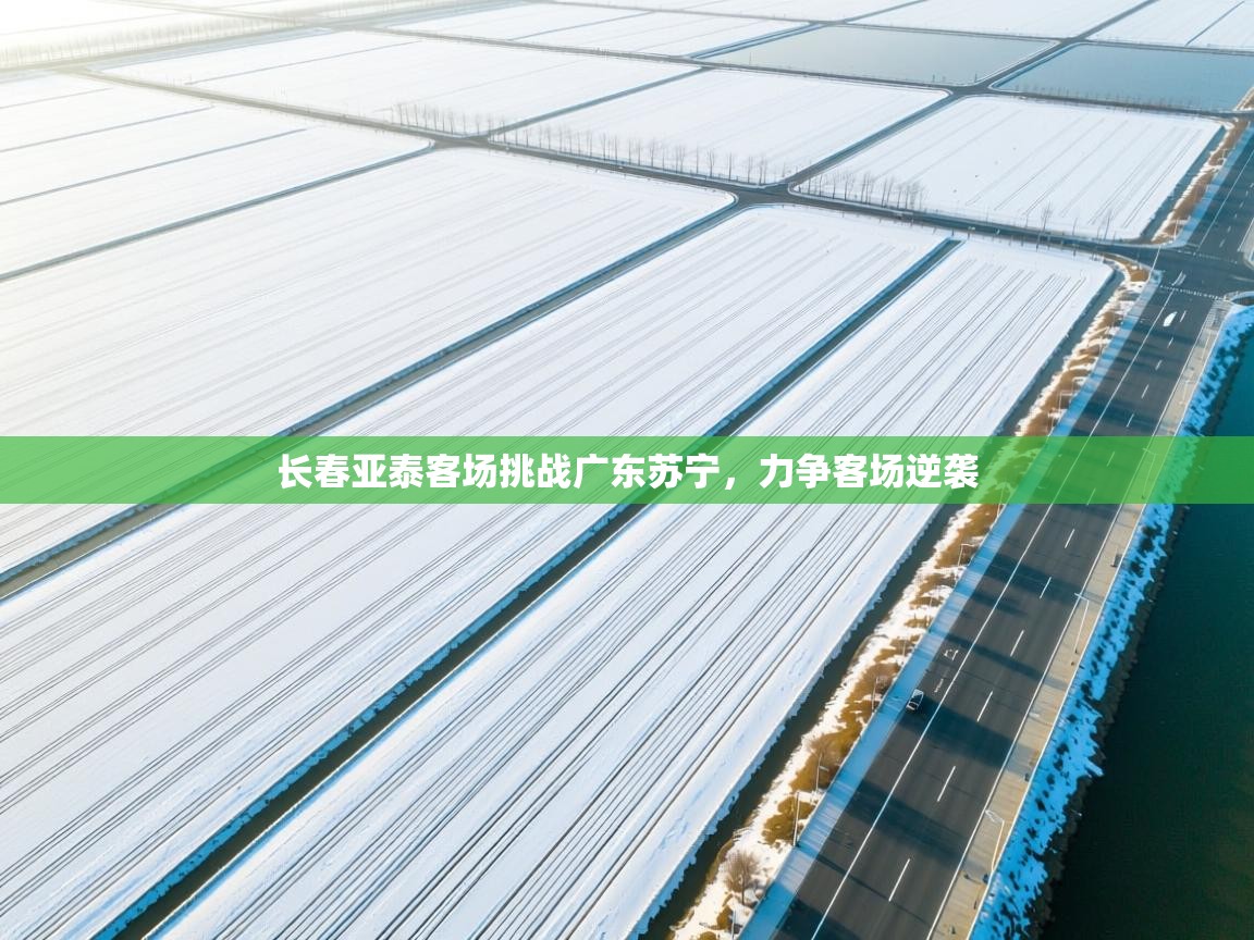 长春亚泰客场挑战广东苏宁，力争客场逆袭