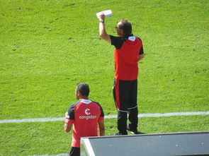 星空体育网页版登录入口-汉堡队球员违规红牌出场，或将遭遇停赛